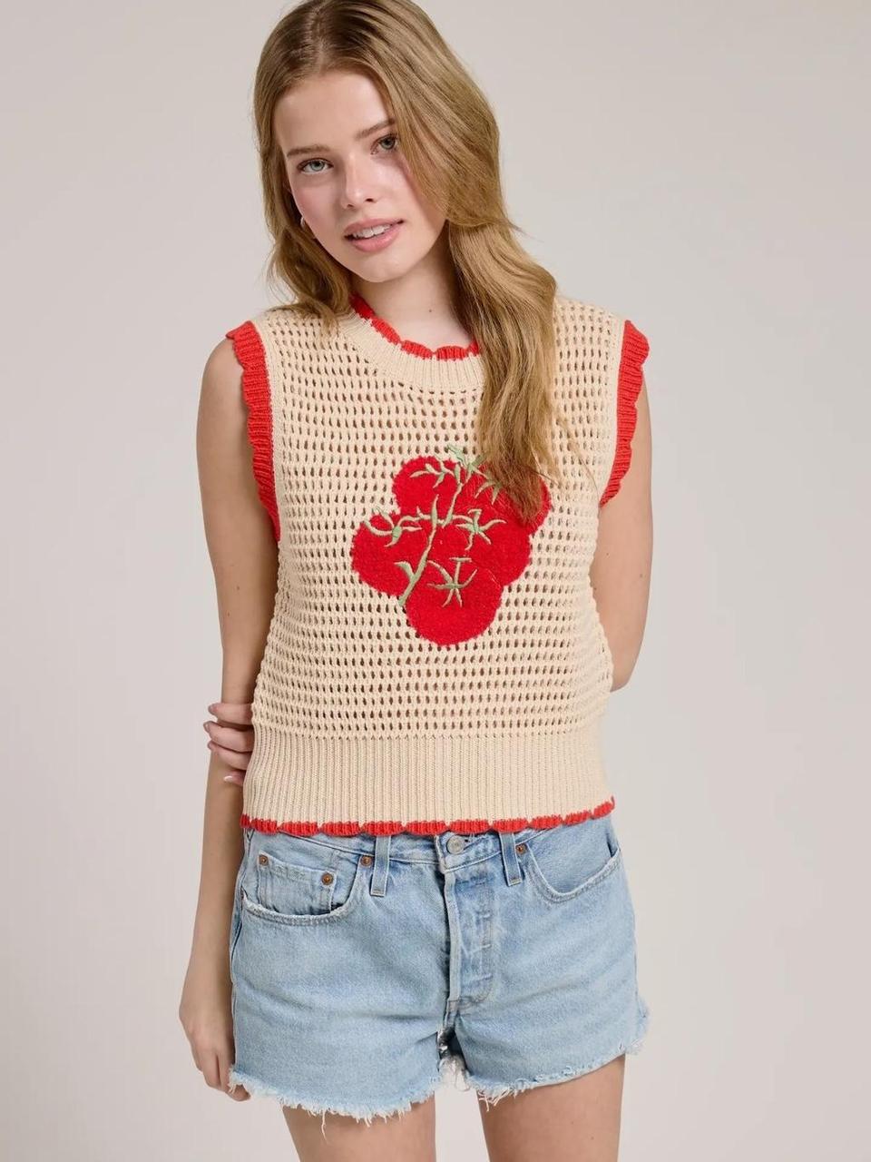 Joy Beige Knit Embroidered Top — view 5